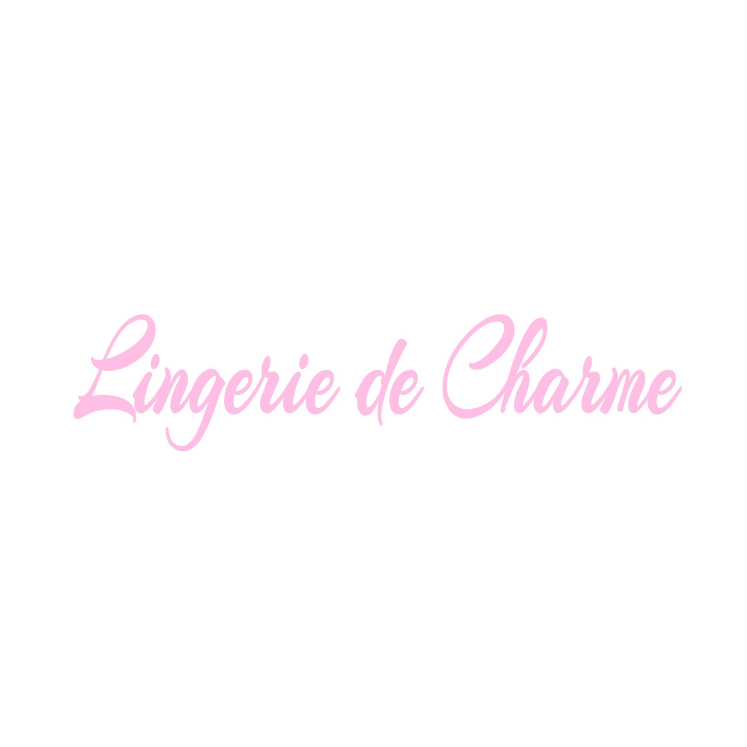 LINGERIE DE CHARME CHOUZY-SUR-CISSE
